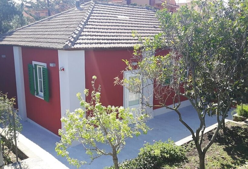 بنسيون Le Stanze Di Villa Labruto