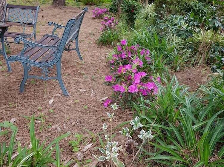 بنسيون Le Stanze Di Villa Labruto