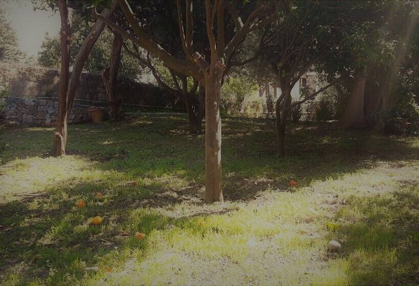 بنسيون Le Stanze Di Villa Labruto