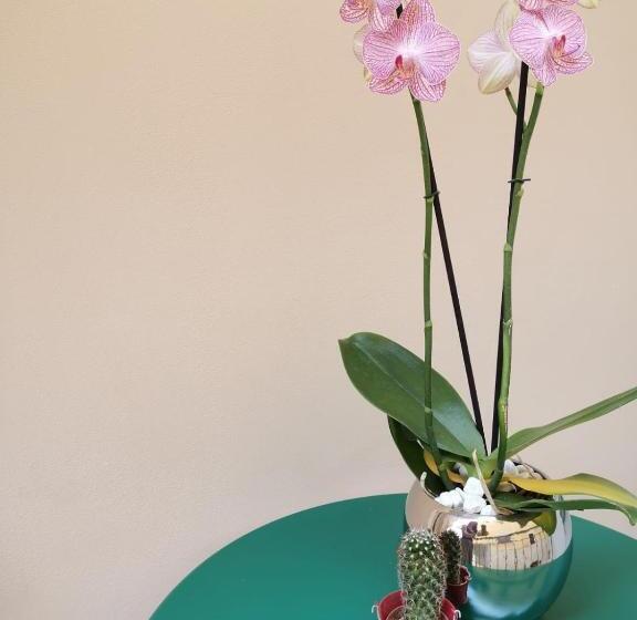 Пансион Margherita Boutiques