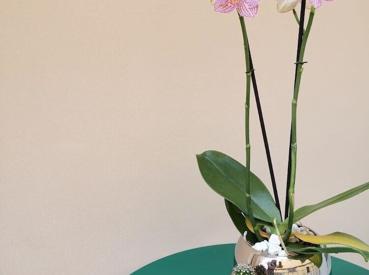 Пансион Margherita Boutiques