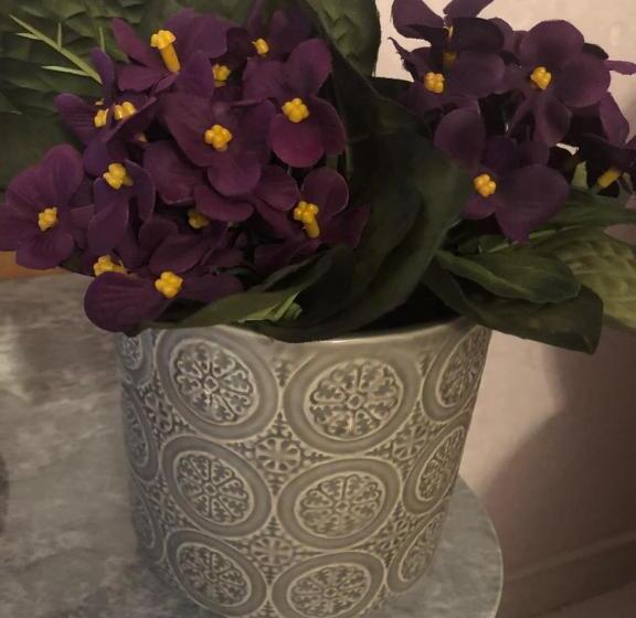 Пансион B&b Meliora Rooms