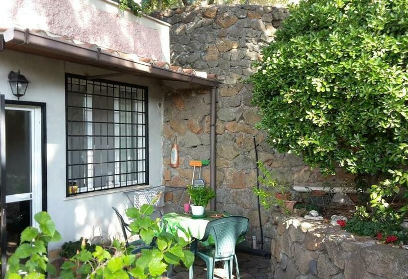 تختخواب و صبحانه Bed&breakfast Fiorella Sul Lago