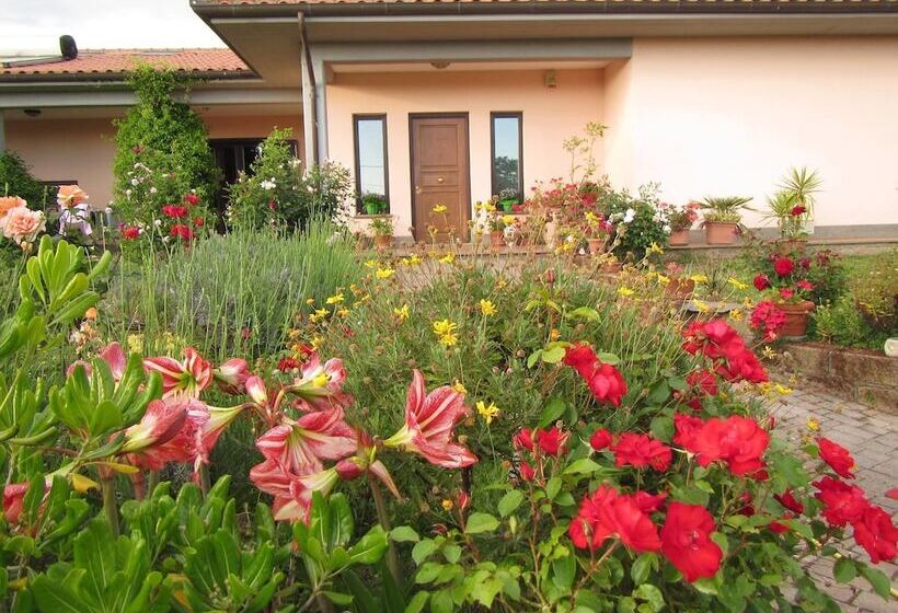 B&b Il Vigneto Tuscania