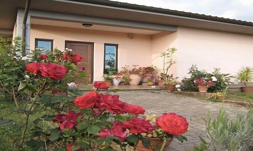 B&b Il Vigneto Tuscania