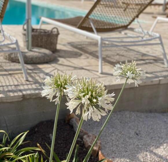 住宿加早餐 Dimora Le Ginestre Adults Only