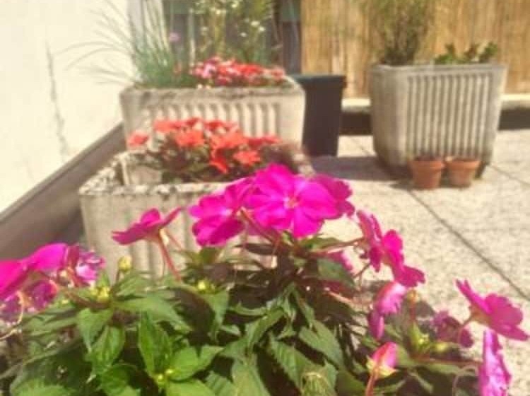 B&b The Green Corner S Hangout