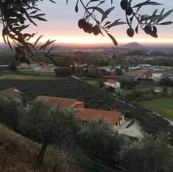 ベッドアンドブレックファースト Agrialpi By Salfrutta