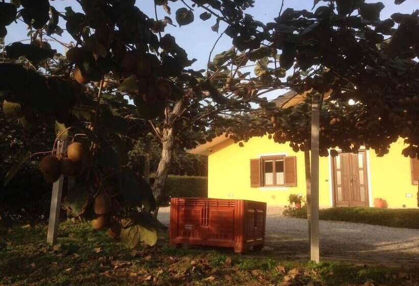 ベッドアンドブレックファースト Agrialpi By Salfrutta