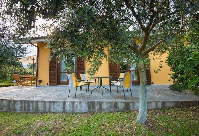 ベッドアンドブレックファースト Agrialpi By Salfrutta