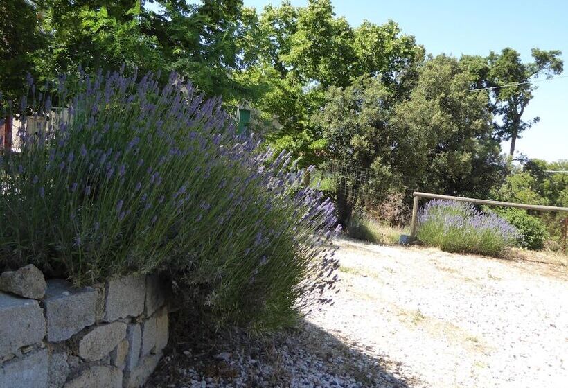 مبيت وإفطار Casa Solotti