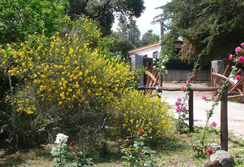 مبيت وإفطار Casa Solotti