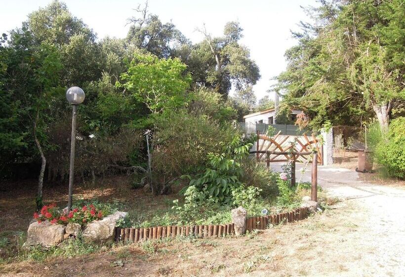 مبيت وإفطار Casa Solotti