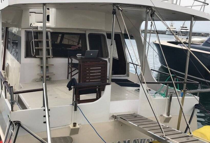 ベッドアンドブレックファースト Dream House Boat