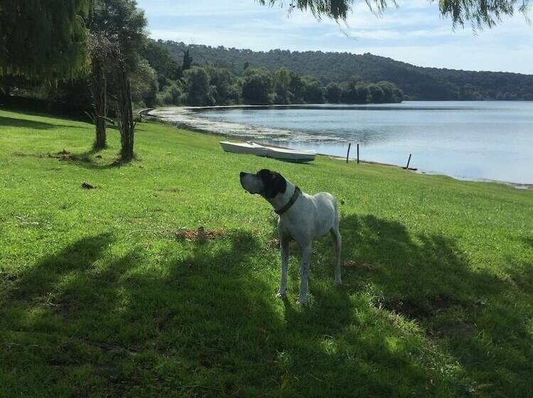 住宿加早餐  Il Cenacolo Di Sissi