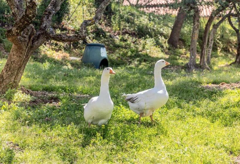 تختخواب و صبحانه L Agrifoglio Di Assisi Residenza Di Campagna