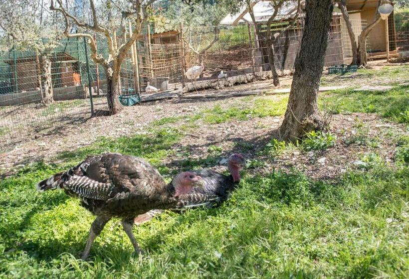 تختخواب و صبحانه L Agrifoglio Di Assisi Residenza Di Campagna