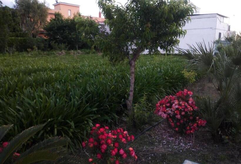 مبيت وإفطار La Maison Di Sara