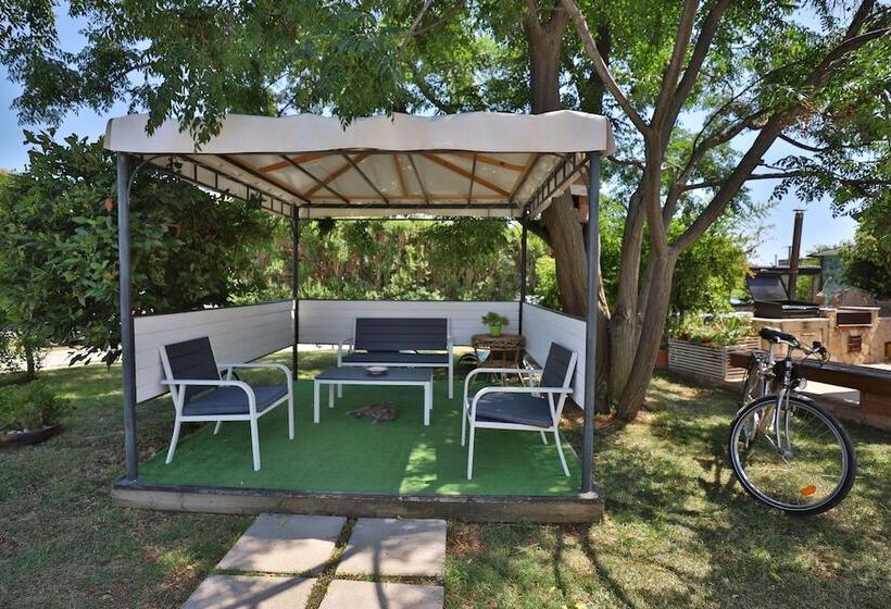 تختخواب و صبحانه Placide Vivere