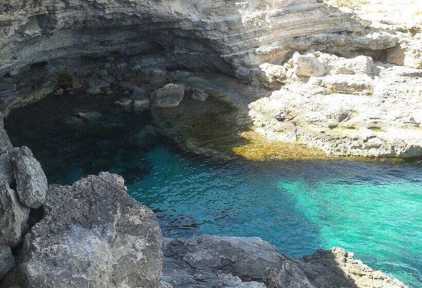 Bed & Breakfast Plaza