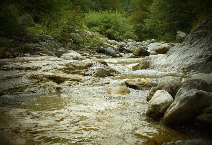 Ca Jo Bed And Breakfast