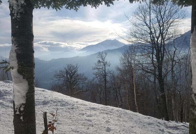 Ca Jo Bed And Breakfast