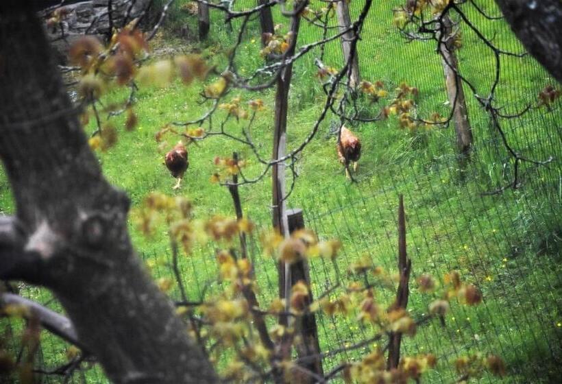 Ca Jo Bed And Breakfast