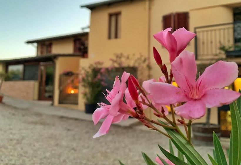 Chiaraluce Country House