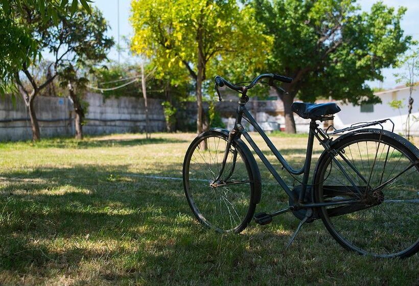 ホテル Camping Almoetia