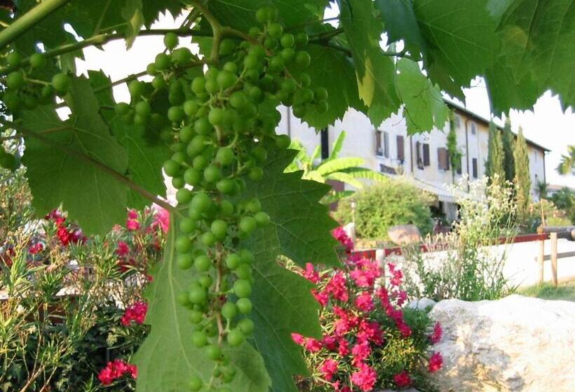 乡村酒店 Agriturismo B&b Le Coste