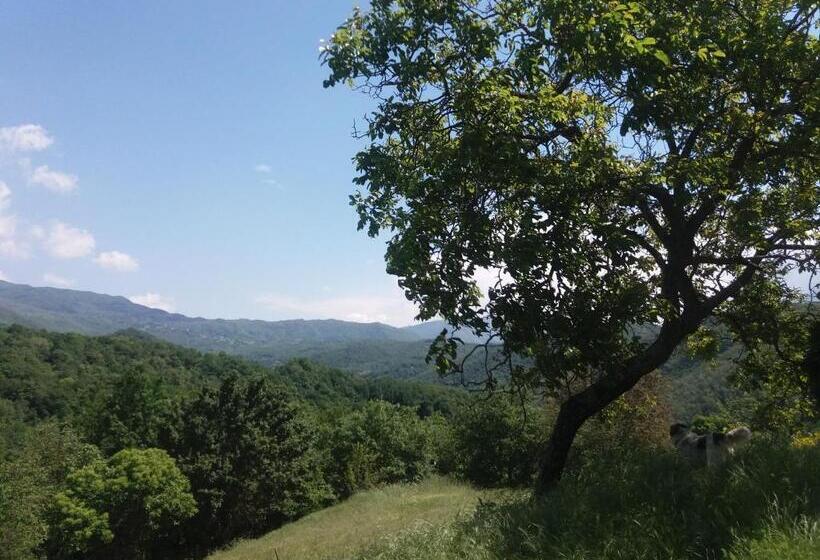 فندق ريفى Agriturismo Cà Del Lupo