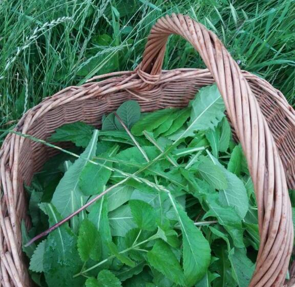 فندق ريفى Agriturismo Cà Del Lupo