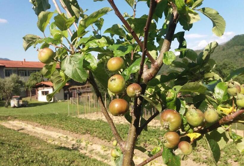 فندق ريفى Agriturismo Cà Del Lupo