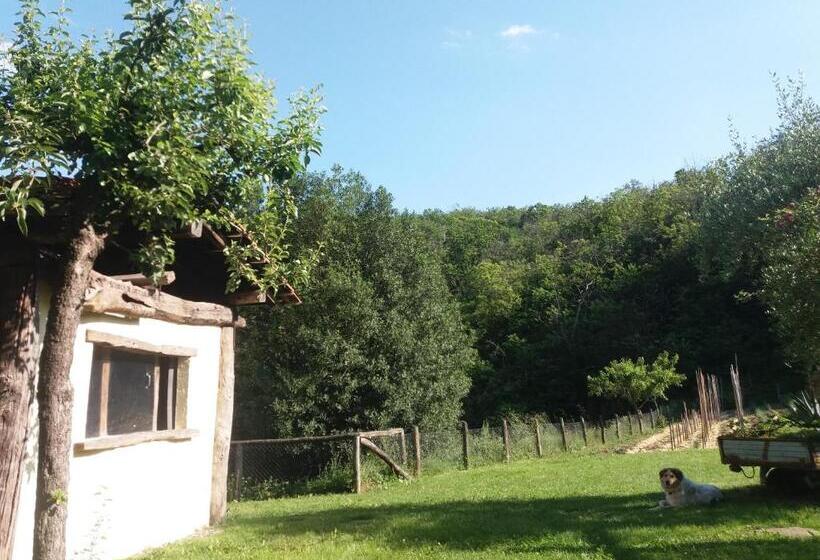 فندق ريفى Agriturismo Cà Del Lupo