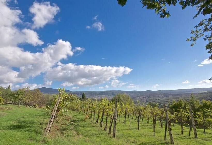 בית מלון כפרי Agriturismo Corvaia