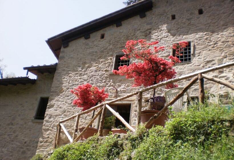 בית מלון כפרי Agriturismo Molino Paradiso