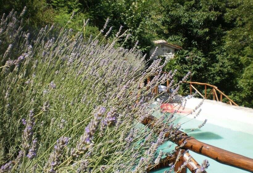 בית מלון כפרי Agriturismo Molino Paradiso