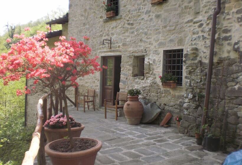 בית מלון כפרי Agriturismo Molino Paradiso