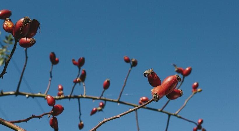 膳宿费 Giardino Dei Monti