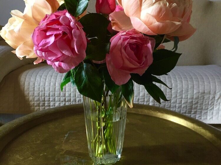 פנסיון Lory S Home