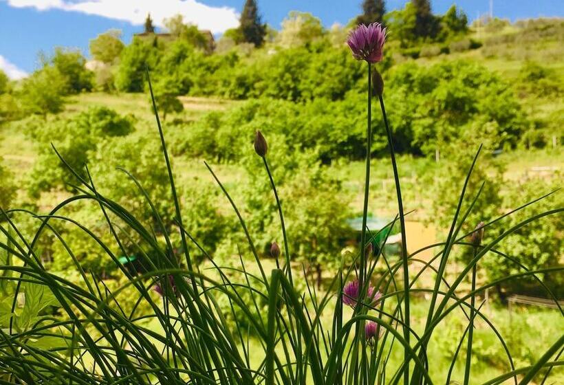 פנסיון Lory S Home