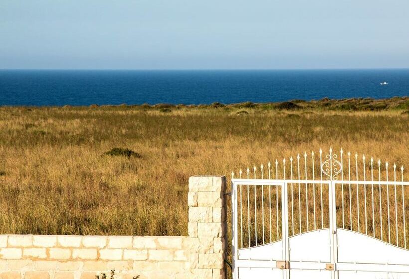 膳宿费 Melus Maris