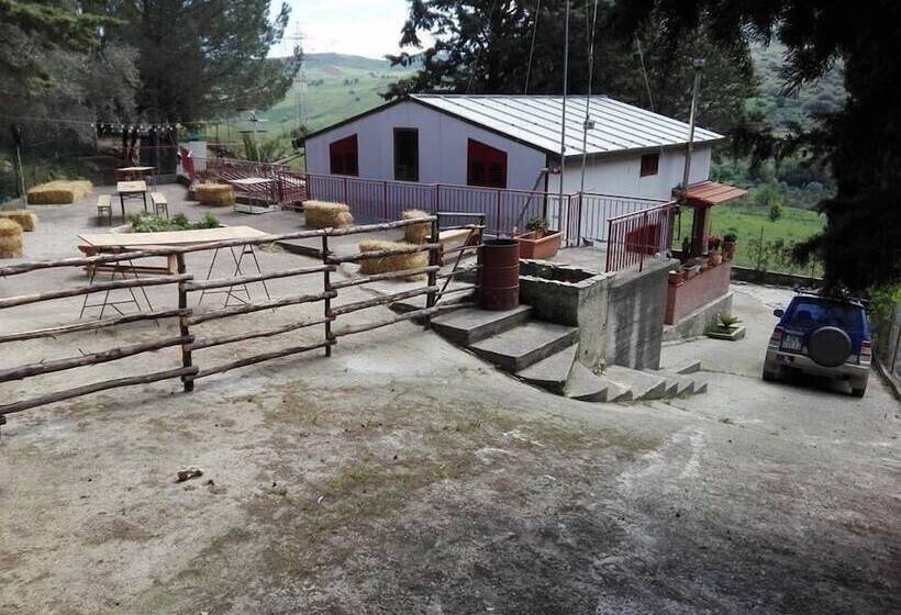 ペンション Oasi Liv   Affittacamere