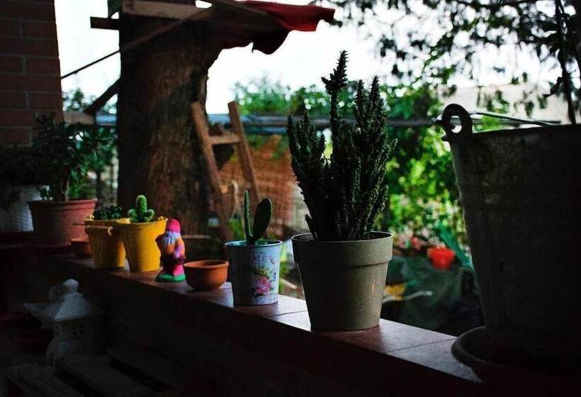 ペンション Oasi Liv   Affittacamere