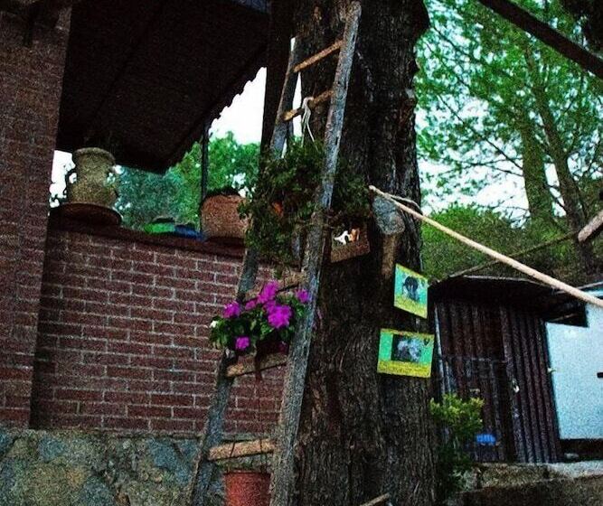 ペンション Oasi Liv   Affittacamere