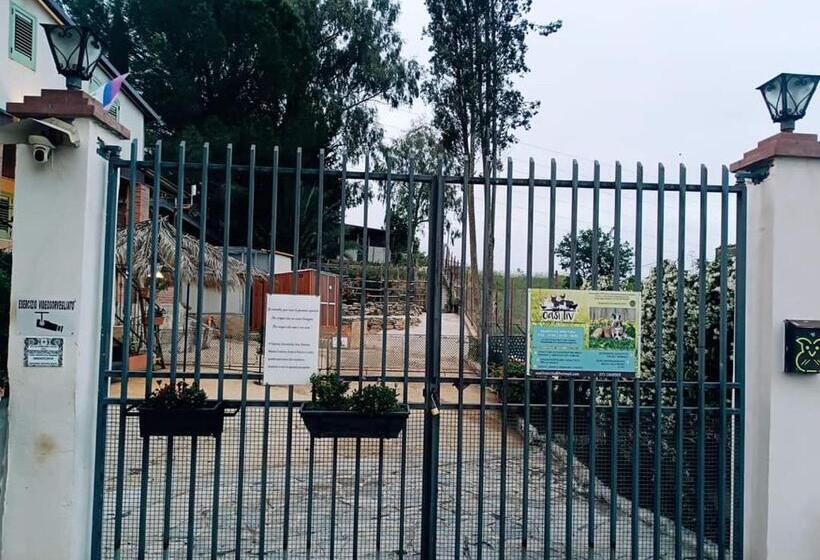 ペンション Oasi Liv   Affittacamere