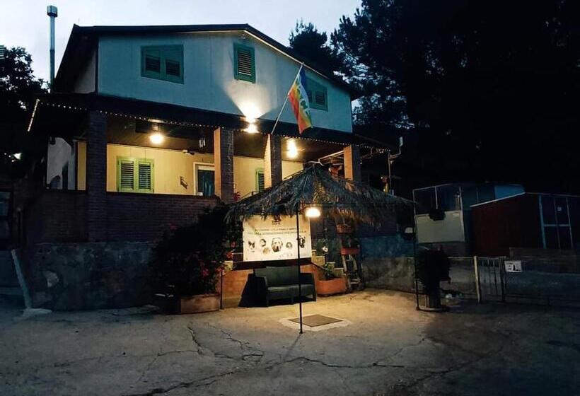 ペンション Oasi Liv   Affittacamere