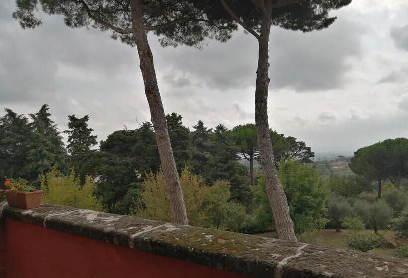 Vigna Dell Agrifoglio   Bed And Breakfast