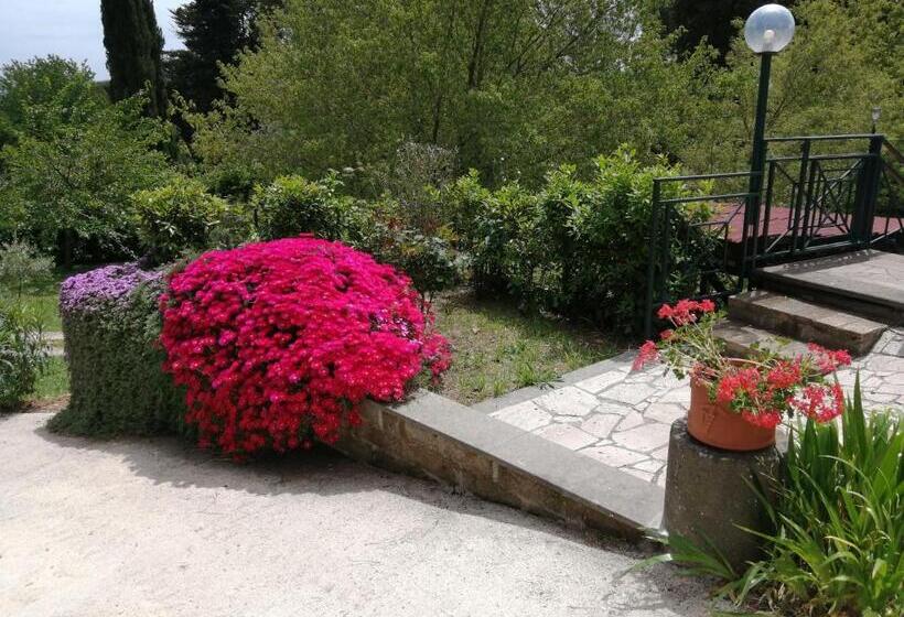 Vigna Dell Agrifoglio   Bed And Breakfast