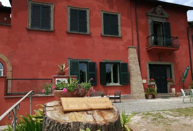 Vigna Dell Agrifoglio   Bed And Breakfast